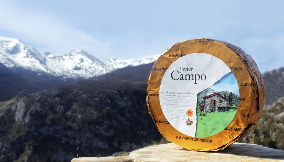QUESO DE TRESVISO