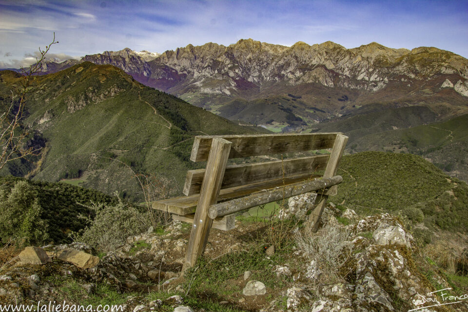 PICO CUTIALES