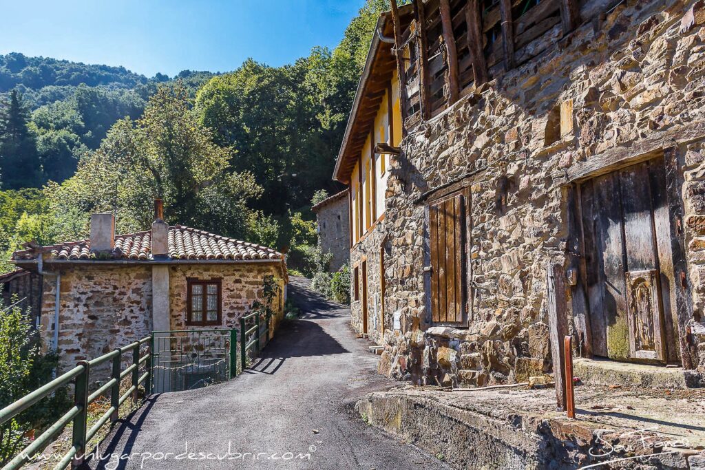 POLLAYO EN VEGA DE LIEBANA