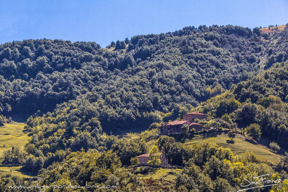 POLLAYO EN VEGA DE LIEBANA