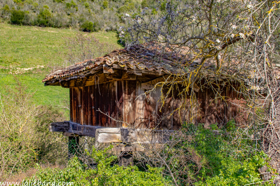 HORREO POTES