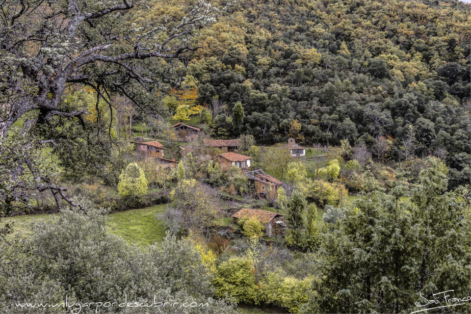 PORCIEDA EN VEGA DE LIEBANA