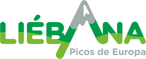 liebana.com